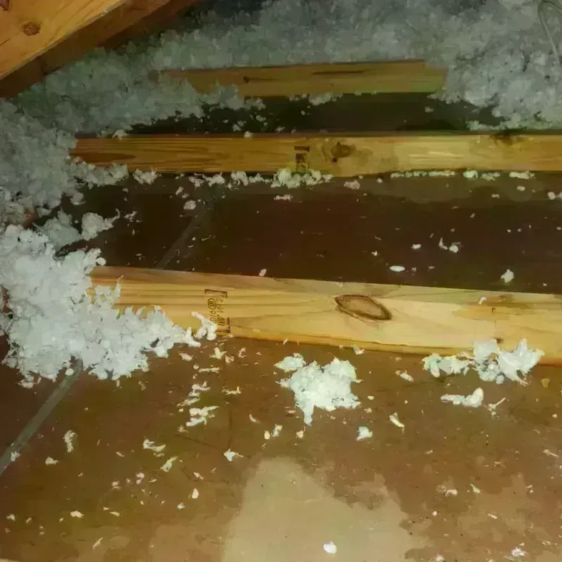 Attic Water Damage in Springville, IA