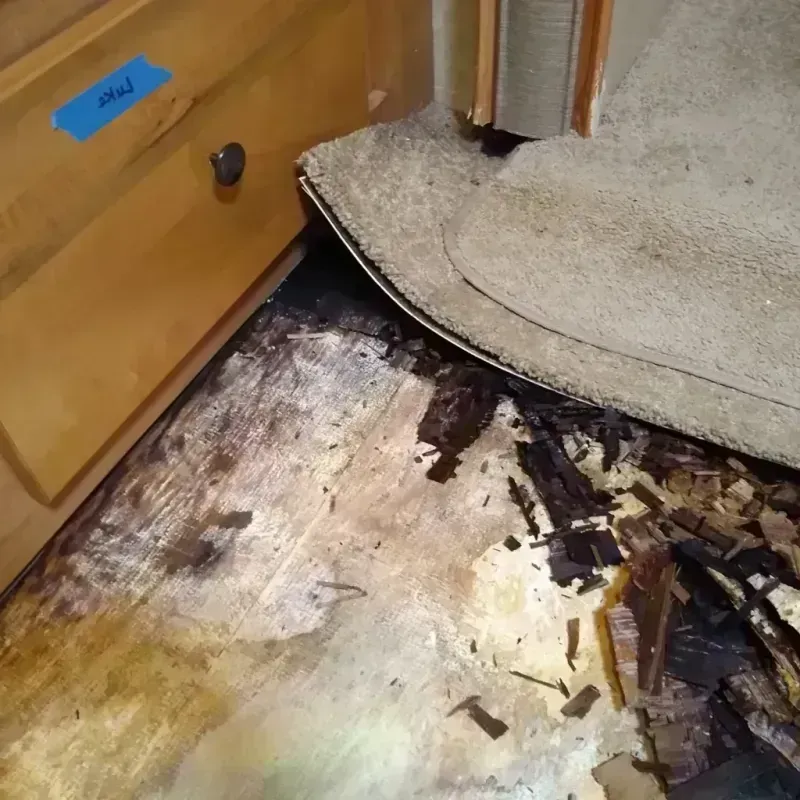 Best Wood Floor Water Damage Service in Springville, IA